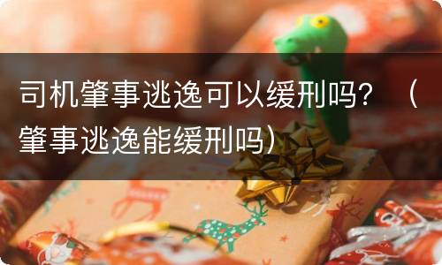 司机肇事逃逸可以缓刑吗？（肇事逃逸能缓刑吗）