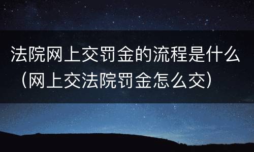 法院网上交罚金的流程是什么（网上交法院罚金怎么交）