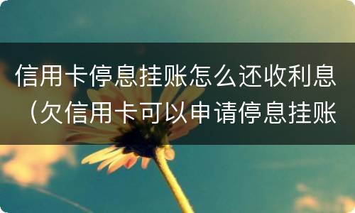 信用卡停息挂账怎么还收利息（欠信用卡可以申请停息挂账吗）