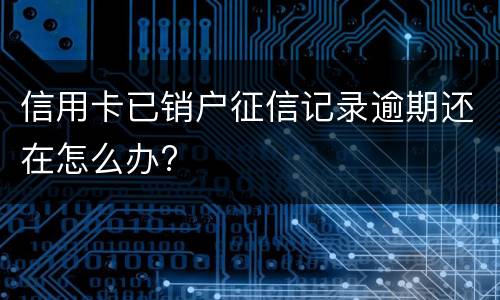 信用卡已销户征信记录逾期还在怎么办?