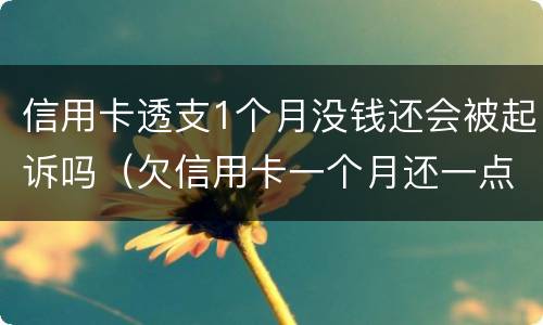 信用卡透支1个月没钱还会被起诉吗（欠信用卡一个月还一点会不会起诉）