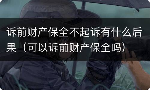 诉前财产保全不起诉有什么后果（可以诉前财产保全吗）