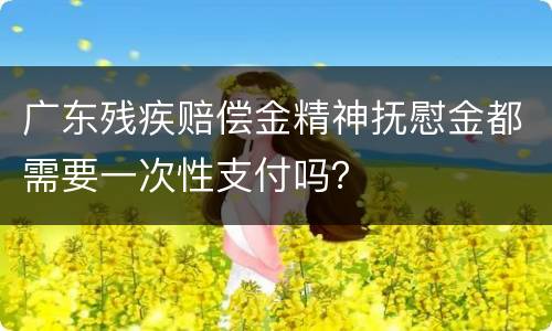 广东残疾赔偿金精神抚慰金都需要一次性支付吗？