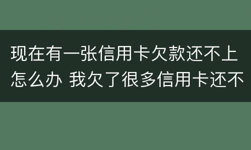 现在有一张信用卡欠款还不上怎么办 我欠了很多信用卡还不上怎么办