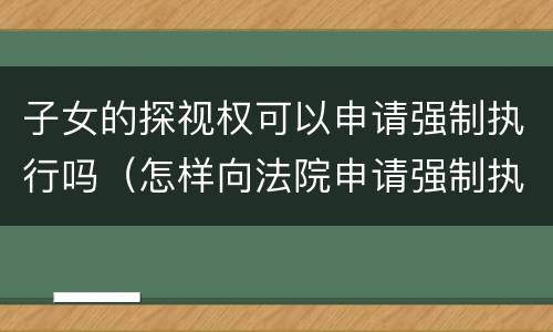 子女的探视权可以申请强制执行吗（怎样向法院申请强制执行子女探视权）