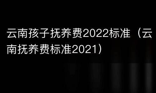 云南孩子抚养费2022标准（云南抚养费标准2021）