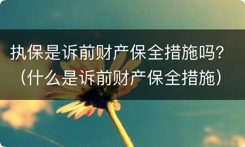 执保是诉前财产保全措施吗？（什么是诉前财产保全措施）