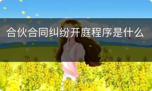 合伙合同纠纷开庭程序是什么