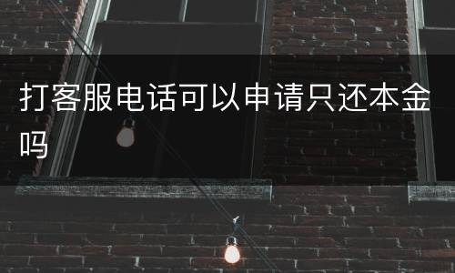 打客服电话可以申请只还本金吗