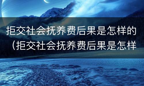 拒交社会抚养费后果是怎样的（拒交社会抚养费后果是怎样的案例）