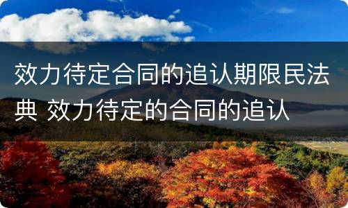 效力待定合同的追认期限民法典 效力待定的合同的追认