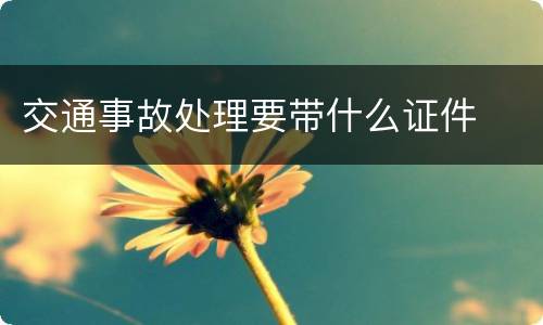 交通事故处理要带什么证件