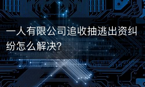 一人有限公司追收抽逃出资纠纷怎么解决？