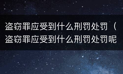 盗窃罪应受到什么刑罚处罚（盗窃罪应受到什么刑罚处罚呢）