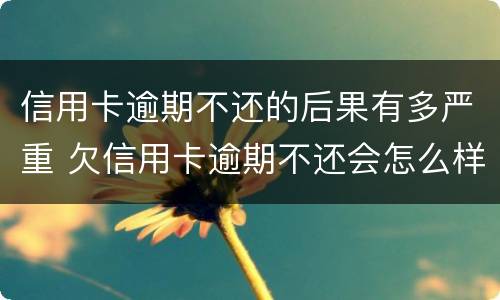 信用卡逾期不还的后果有多严重 欠信用卡逾期不还会怎么样