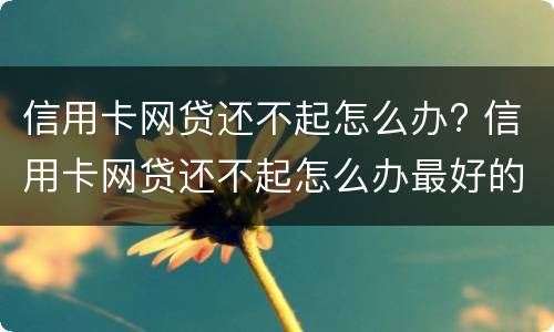 信用卡网贷还不起怎么办? 信用卡网贷还不起怎么办最好的解决办法是