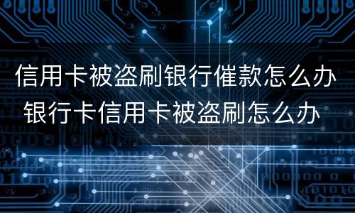 信用卡被盗刷银行催款怎么办 银行卡信用卡被盗刷怎么办
