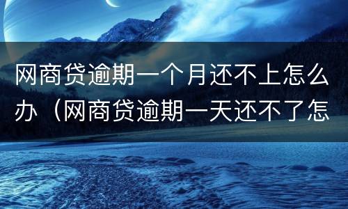 网商贷逾期一个月还不上怎么办（网商贷逾期一天还不了怎么办）