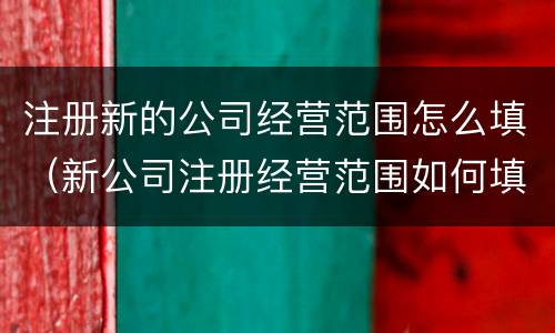 注册新的公司经营范围怎么填（新公司注册经营范围如何填写）