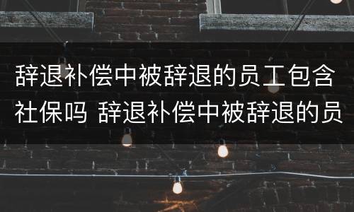辞退补偿中被辞退的员工包含社保吗 辞退补偿中被辞退的员工包含社保吗