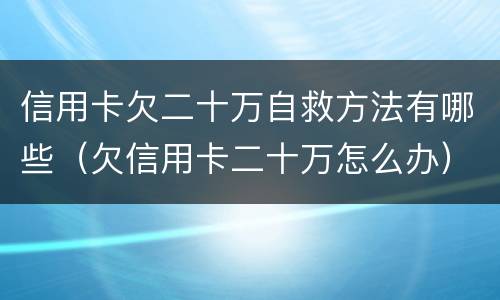 信用卡欠二十万自救方法有哪些（欠信用卡二十万怎么办）