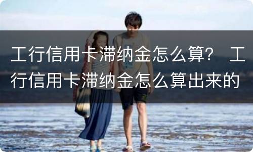 工行信用卡滞纳金怎么算？ 工行信用卡滞纳金怎么算出来的