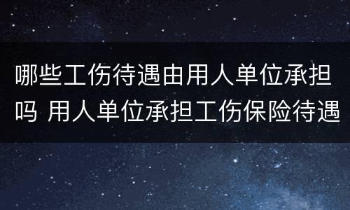 哪些工伤待遇由用人单位承担吗 用人单位承担工伤保险待遇