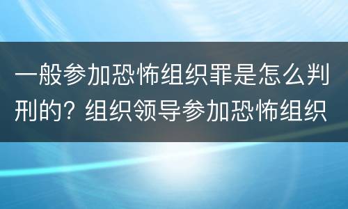 一般参加恐怖组织罪是怎么判刑的? 组织领导参加恐怖组织罪规定在我国刑法