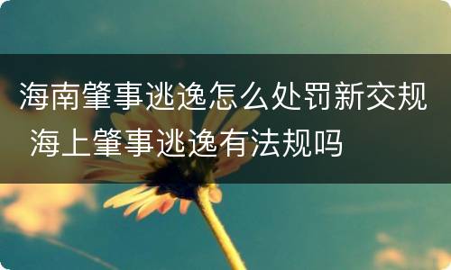 海南肇事逃逸怎么处罚新交规 海上肇事逃逸有法规吗