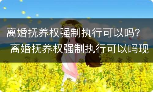 离婚抚养权强制执行可以吗？ 离婚抚养权强制执行可以吗现在