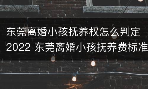 东莞离婚小孩抚养权怎么判定2022 东莞离婚小孩抚养费标准