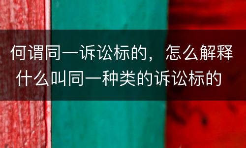 何谓同一诉讼标的，怎么解释 什么叫同一种类的诉讼标的