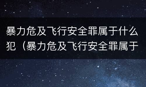暴力危及飞行安全罪属于什么犯（暴力危及飞行安全罪属于什么犯罪类型）