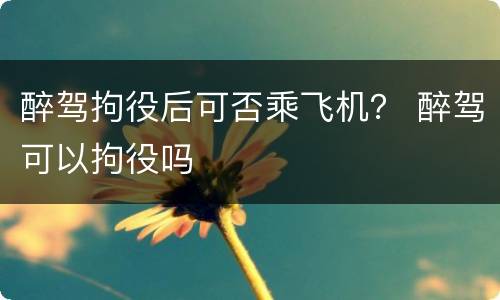 醉驾拘役后可否乘飞机？ 醉驾可以拘役吗