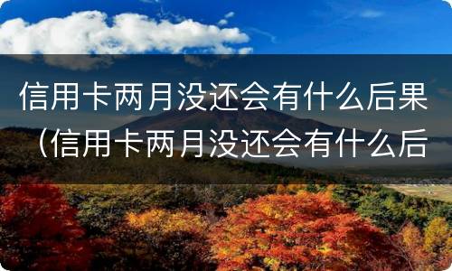 信用卡两月没还会有什么后果（信用卡两月没还会有什么后果吗）
