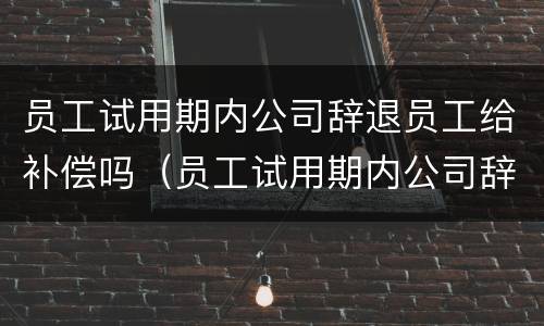 员工试用期内公司辞退员工给补偿吗（员工试用期内公司辞退员工给补偿吗合法吗）
