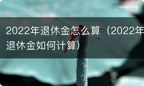 2022年退休金怎么算（2022年退休金如何计算）