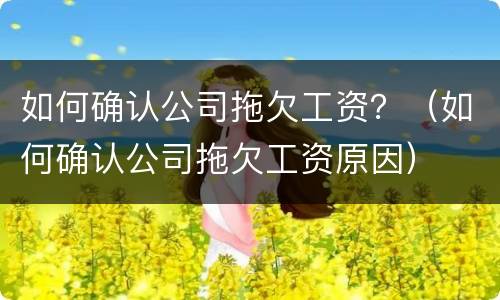 如何确认公司拖欠工资？（如何确认公司拖欠工资原因）