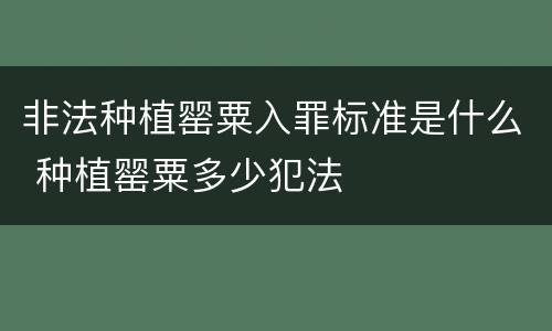 非法种植罂粟入罪标准是什么 种植罂粟多少犯法