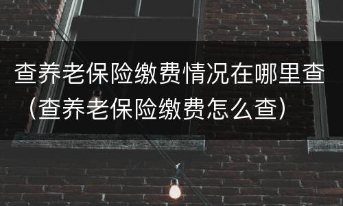 查养老保险缴费情况在哪里查（查养老保险缴费怎么查）