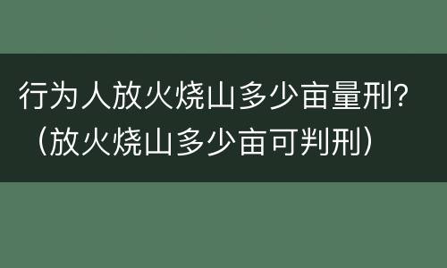 行为人放火烧山多少亩量刑？（放火烧山多少亩可判刑）