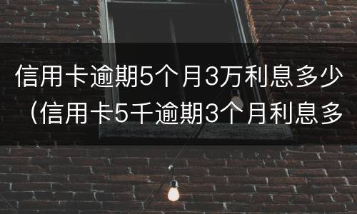 信用卡逾期5个月3万利息多少（信用卡5千逾期3个月利息多少）