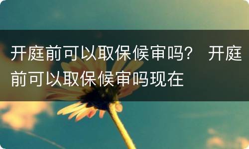 开庭前可以取保候审吗？ 开庭前可以取保候审吗现在