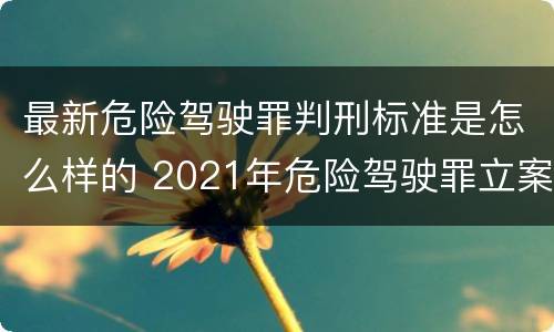 最新危险驾驶罪判刑标准是怎么样的 2021年危险驾驶罪立案量刑最新标准