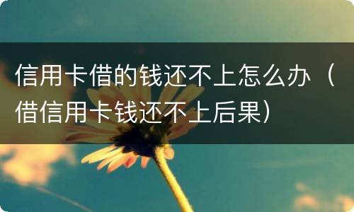 信用卡借的钱还不上怎么办（借信用卡钱还不上后果）