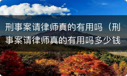 刑事案请律师真的有用吗（刑事案请律师真的有用吗多少钱）