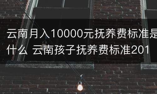 云南月入10000元抚养费标准是什么 云南孩子抚养费标准2019