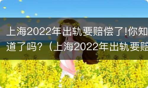 上海2022年出轨要赔偿了!你知道了吗?（上海2022年出轨要赔偿了!你知道了吗）