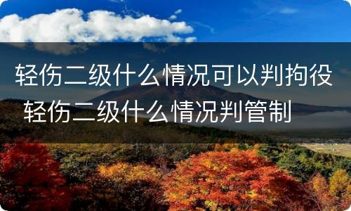 轻伤二级什么情况可以判拘役 轻伤二级什么情况判管制