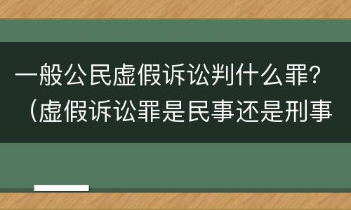 一般公民虚假诉讼判什么罪？（虚假诉讼罪是民事还是刑事）